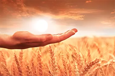 Abundancia y espiritualidad: vive en plenitud