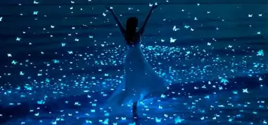 servicios_diplomado_liberacion_emocional